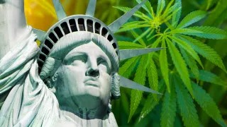 High on Liberty: How Cannabis Unlocks Minds and Defies Oppression