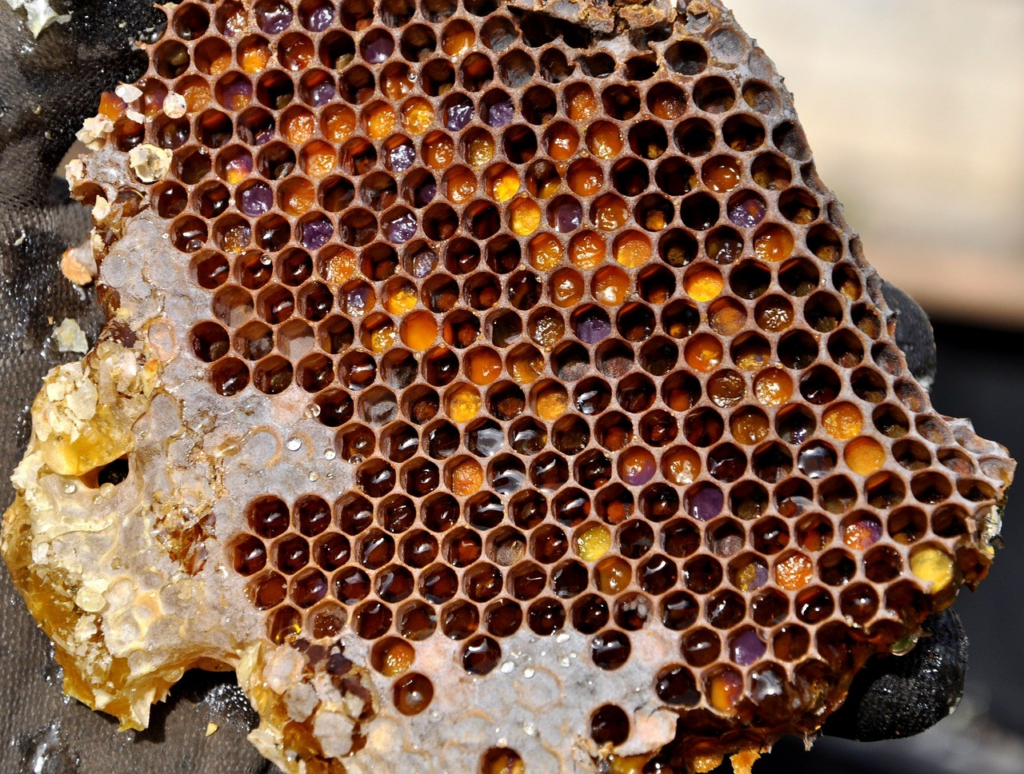 The Nutritional Power of Raw Honeycomb