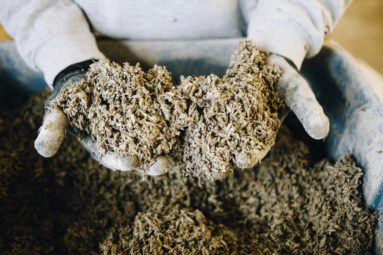 Building Freedom: How Hempcrete Is Revolutionizing Sustainable Living