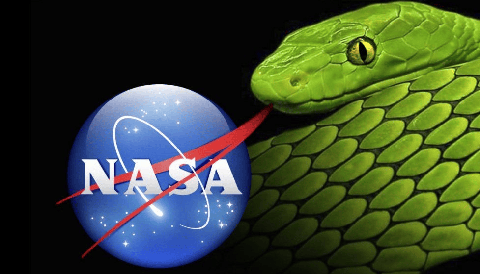 Nasa logo showcasing a serpents tongue