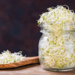 Alfalfa growing in a jar