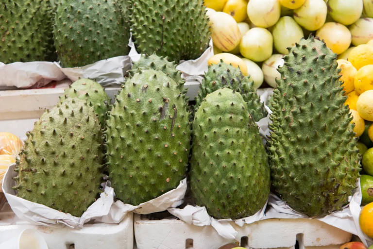 Soursop’s Cancer-Fighting Potential Fruit