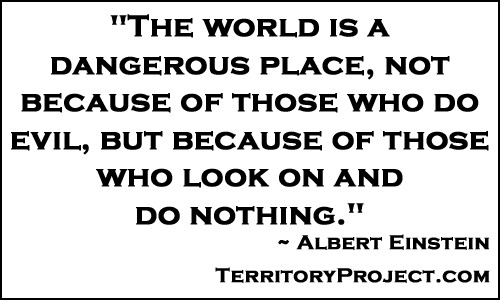 Albert Einstein Quote - The world is a dangerous place not because of those who do evil but because of those who look on and do nothing