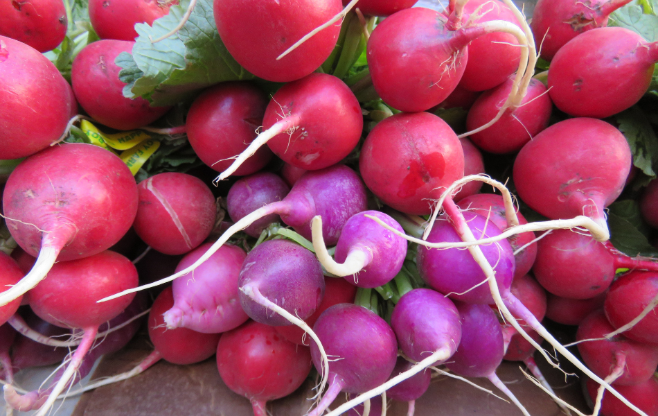 10. Radishes – The Speedy Crop That Keeps on Giving